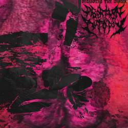 Abortion Autopsy : Degrading the Unborn